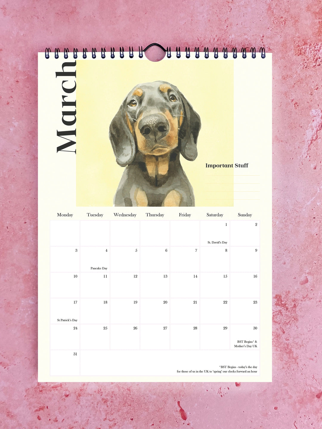 Watercolour calendar featuring playful Pooches with Personality by Robert James Hull, showcasing colorful dog illustrations.