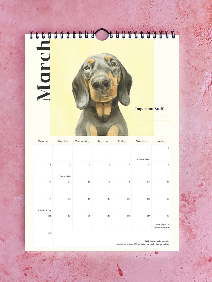 Watercolour calendar featuring playful Pooches with Personality by Robert James Hull, showcasing colorful dog illustrations.