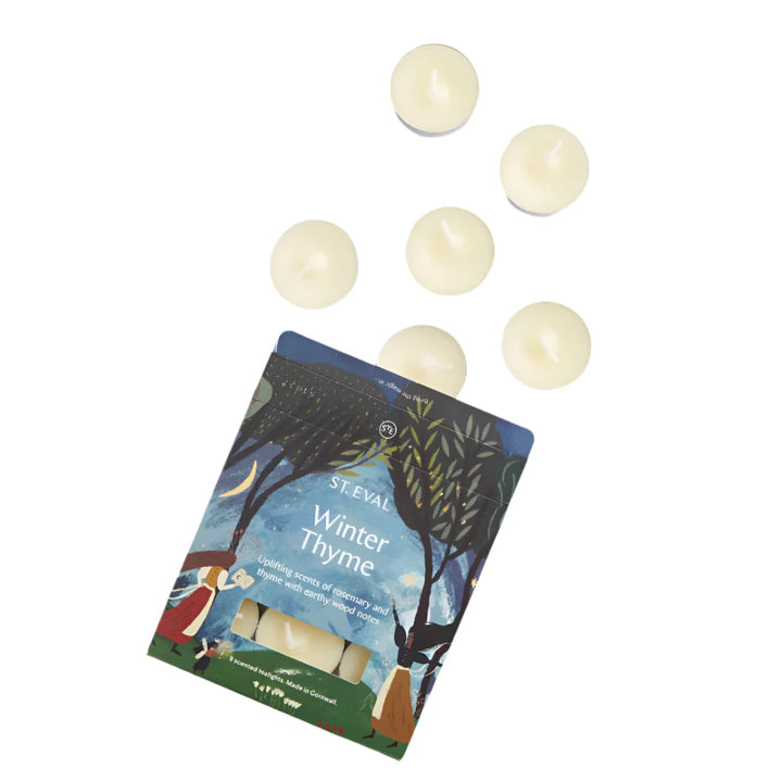 Set of 16 St Eval Christmas Winter Thyme scented tealights in clear holders, perfect for holiday ambiance.
