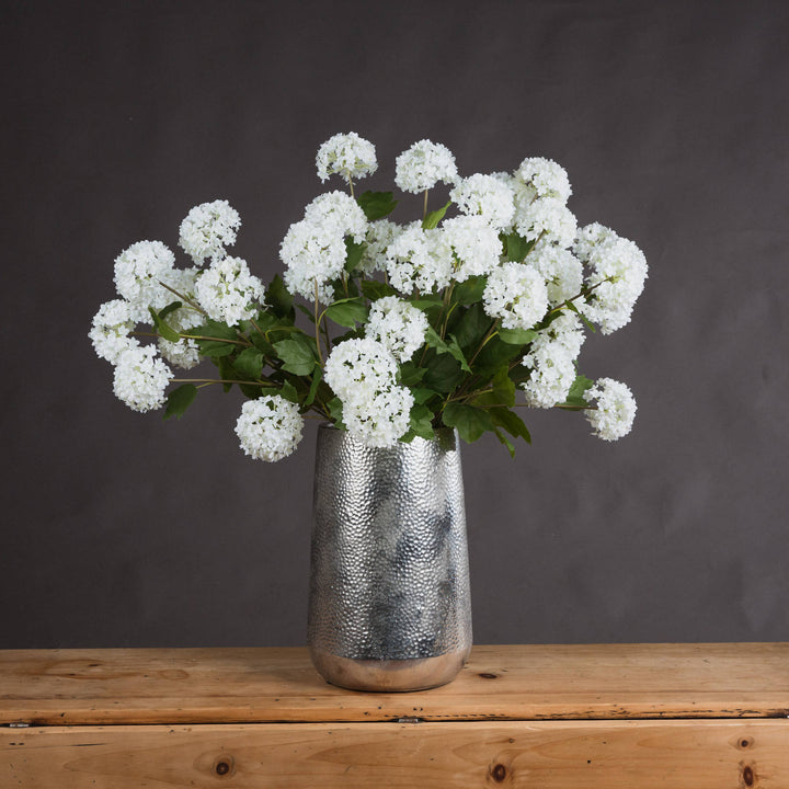 Viburnum Opulus Flower Stem