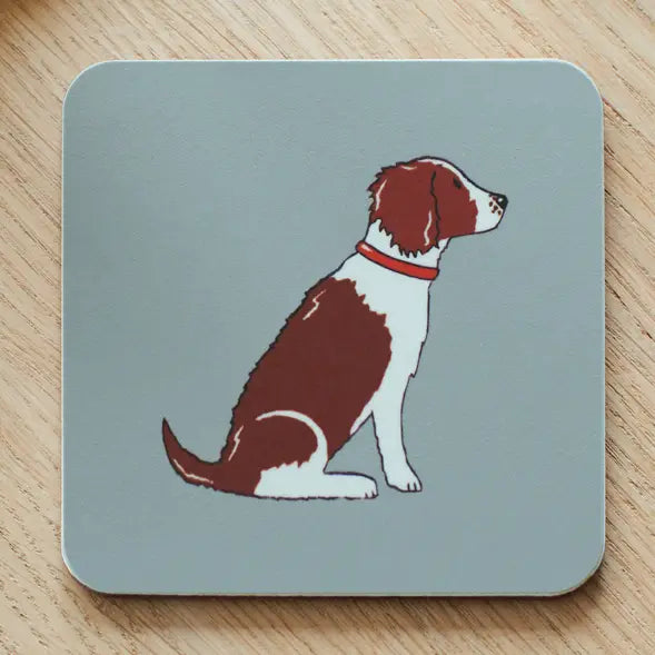 Sweet William Liver Springer Spaniel coaster featuring a detailed illustration, perfect for protecting surfaces with charming dog design.