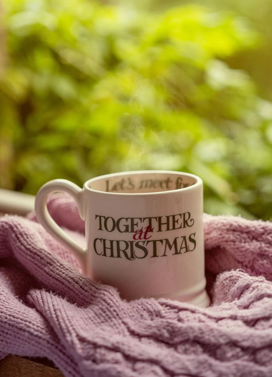 Emma Bridgewater Christmas Toast Best Of Friends half-pint mug with festive holiday design and cheerful illustration.