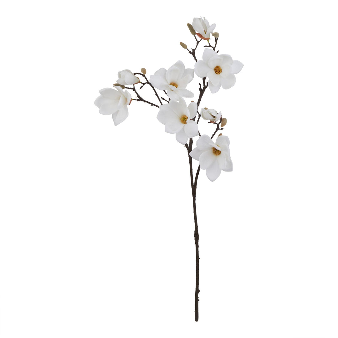 White Magnolia Stem