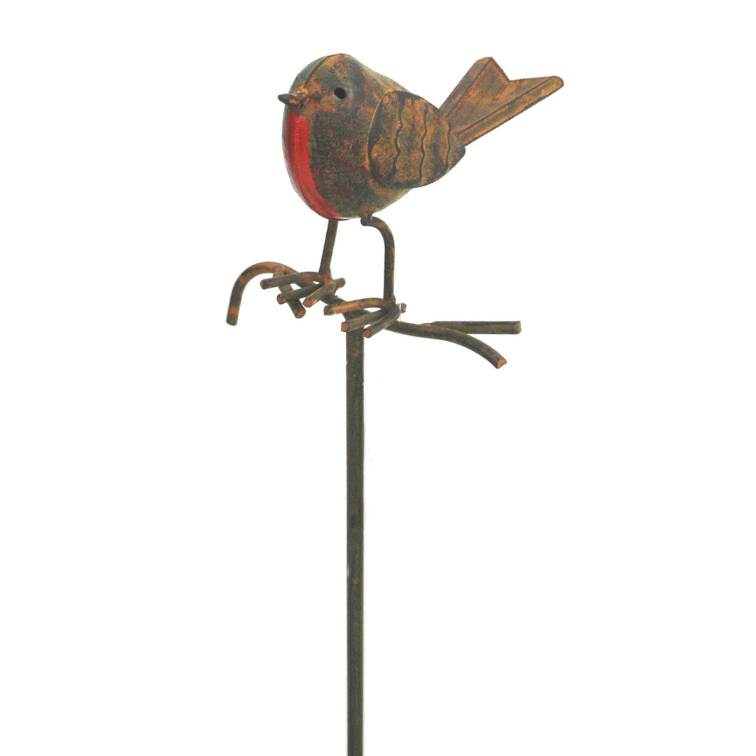 Robin on Stick
