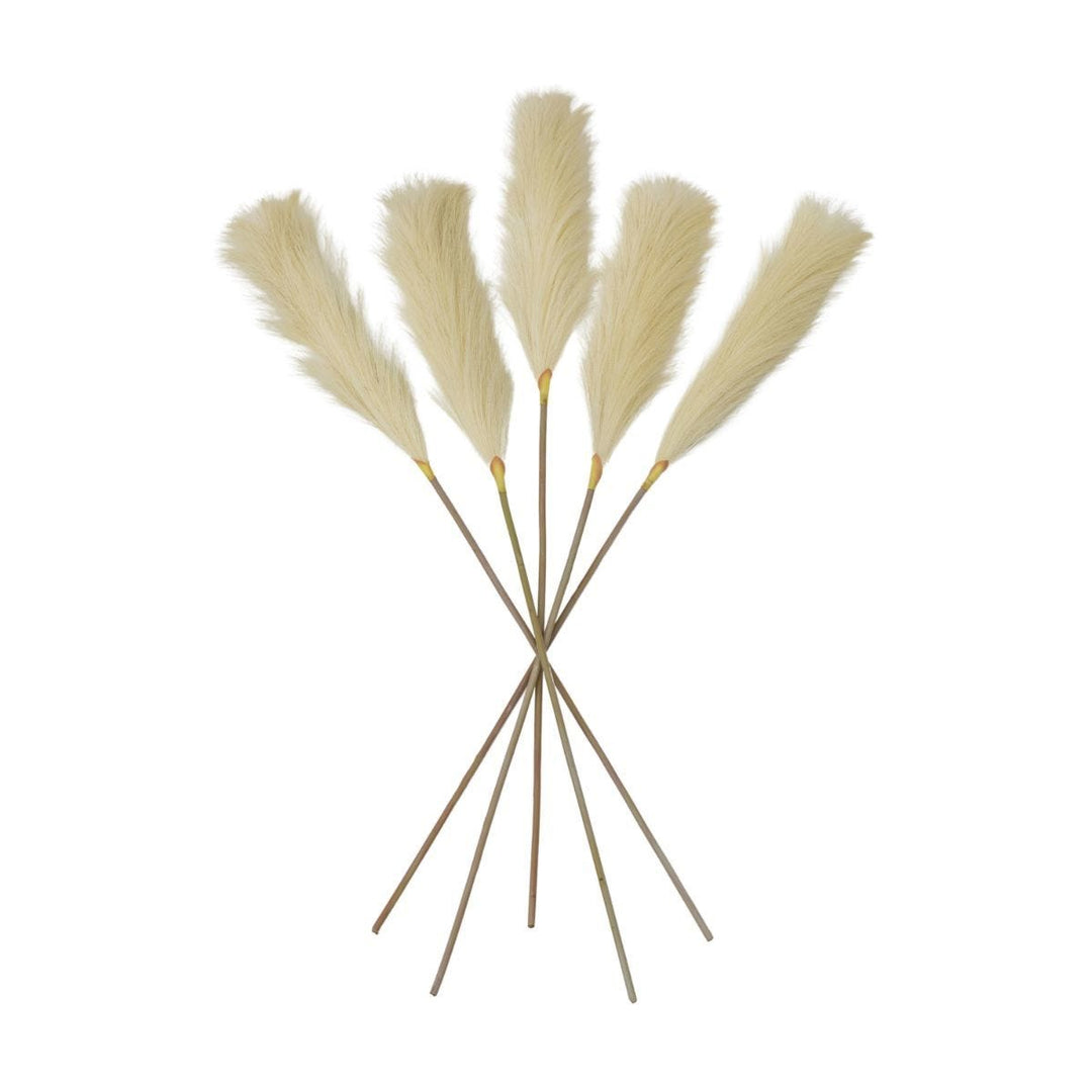 Soft ivory feather stem from Cornucopia Home and Gift, gallery-style decorative plant for floral arrangements.