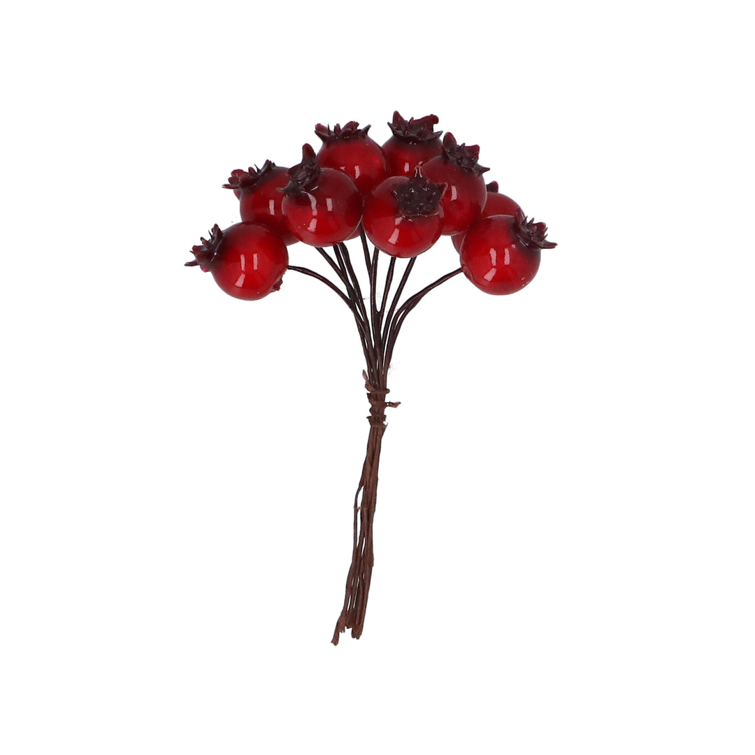 Shiny Red Rosehip Berries Pick Cluster | Gisela Graham