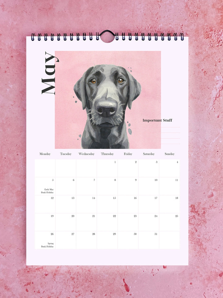 Watercolour calendar featuring playful Pooches with Personality by Robert James Hull, showcasing colorful dog illustrations.