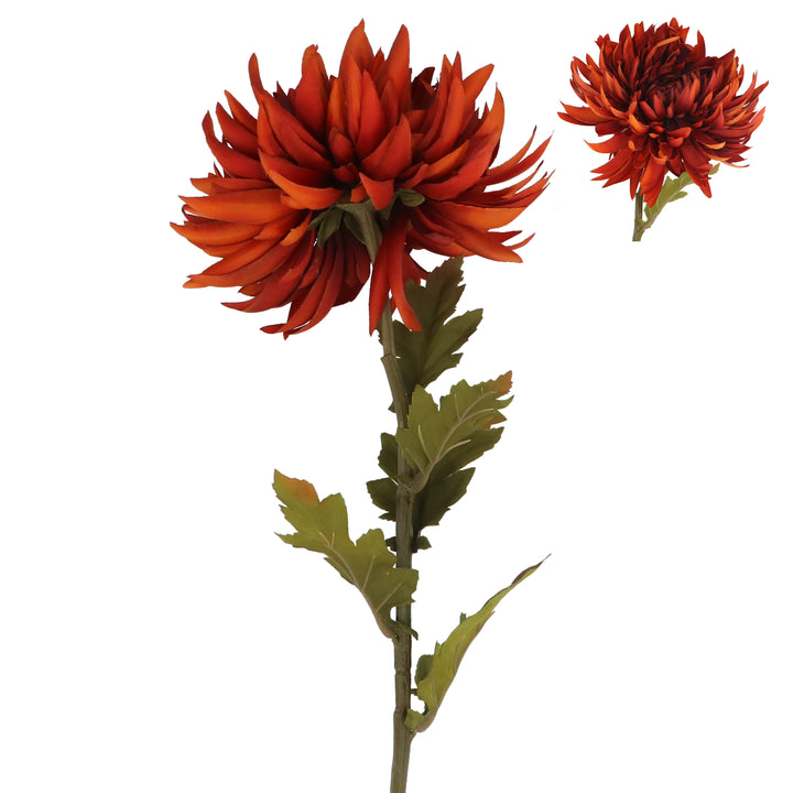 Dark Orange Chrysanthemum Stem
