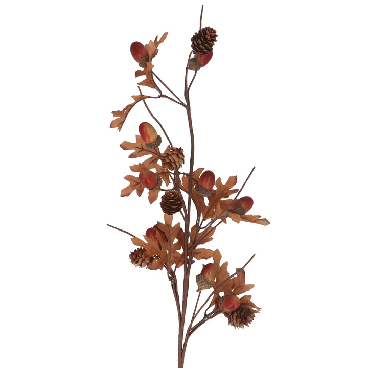 Acorn &amp; Cone Fine Spray