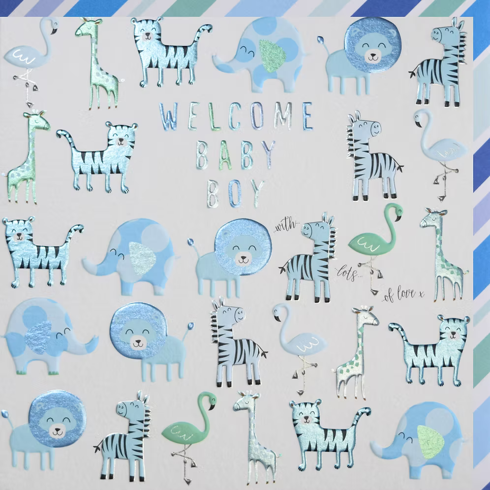 Welcome Baby Boy Card