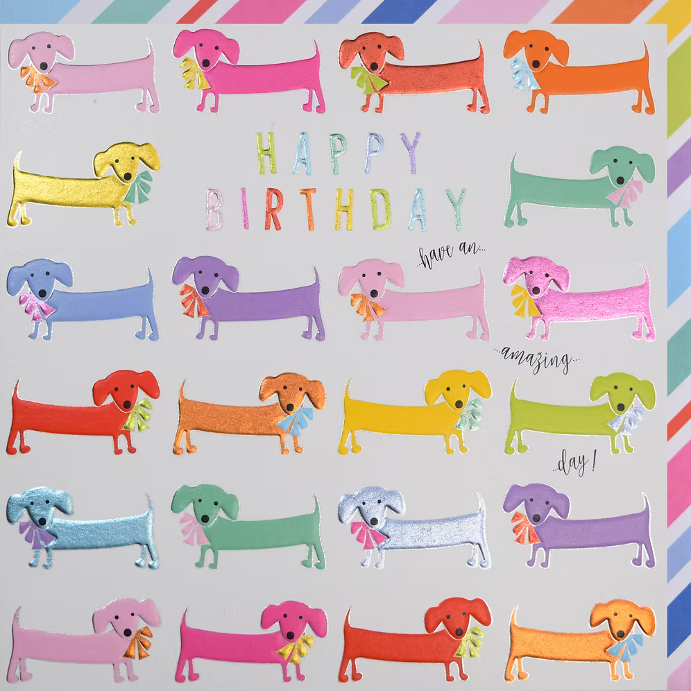 Happy Birthday card featuring cute sausage dogs by Wendy Jones-Blackett, ideal for birthday greetings from Cornucopia Home and Gift