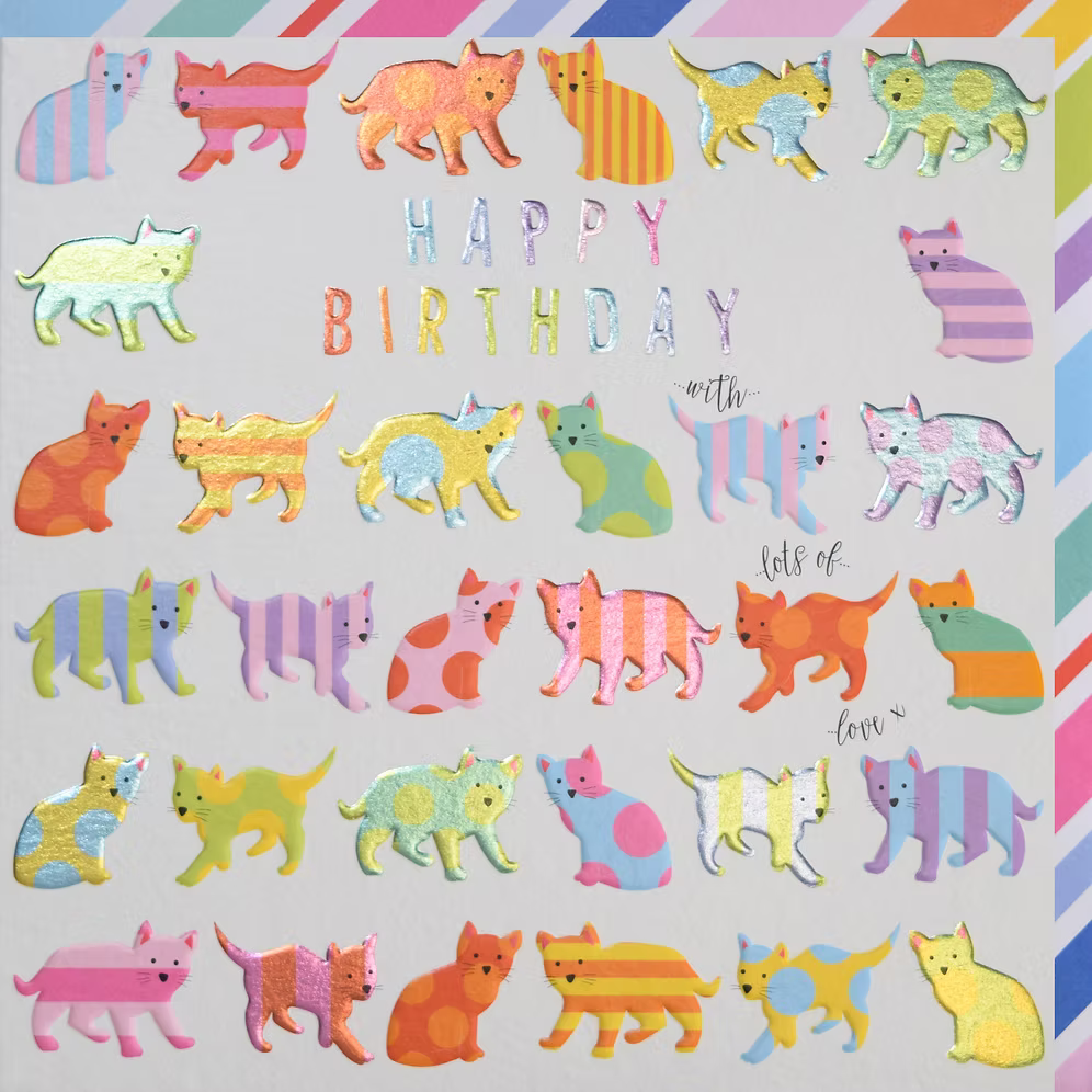Cats Birthday Card - Rainbow Drops