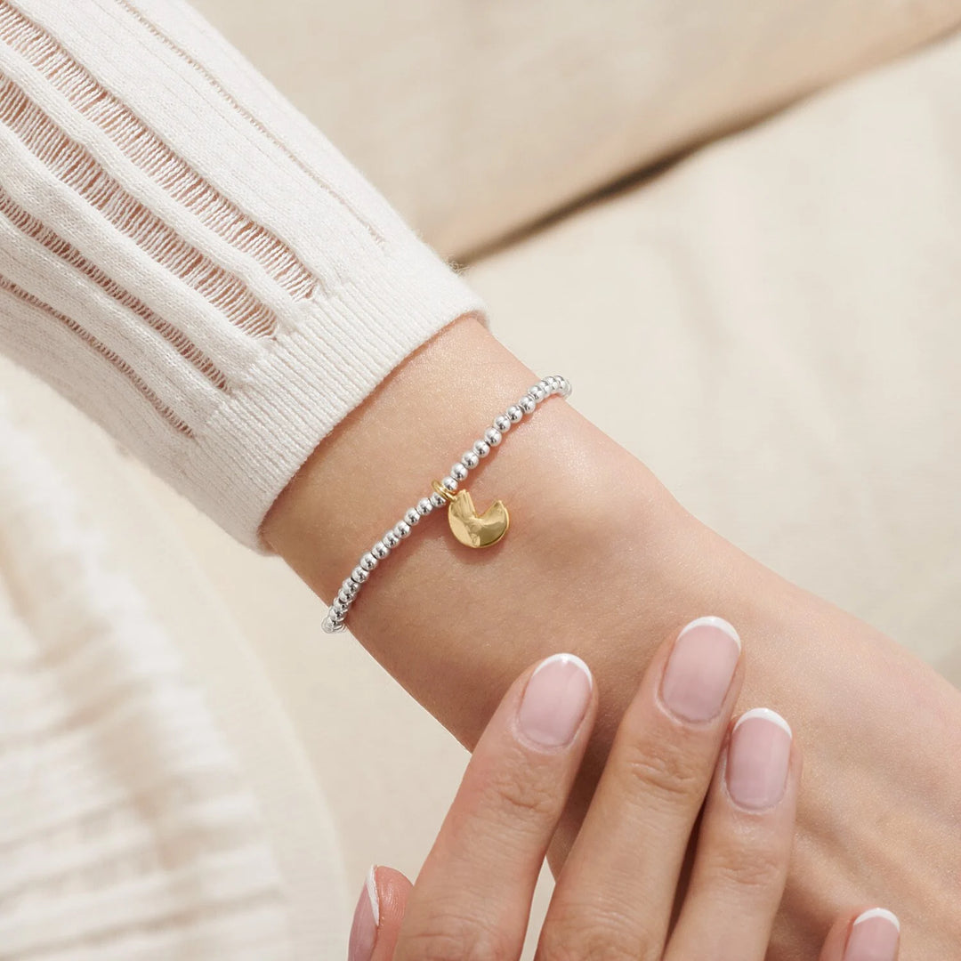 Joma Jewellery A Little Good Fortune bracelet featuring delicate charms on a silver chain, styled on a neutral background.