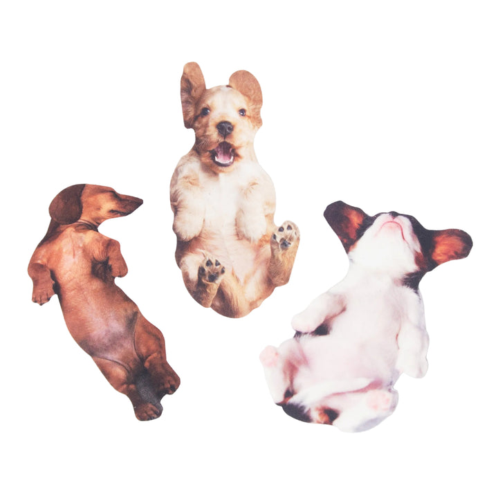 Pawfect Nail Files