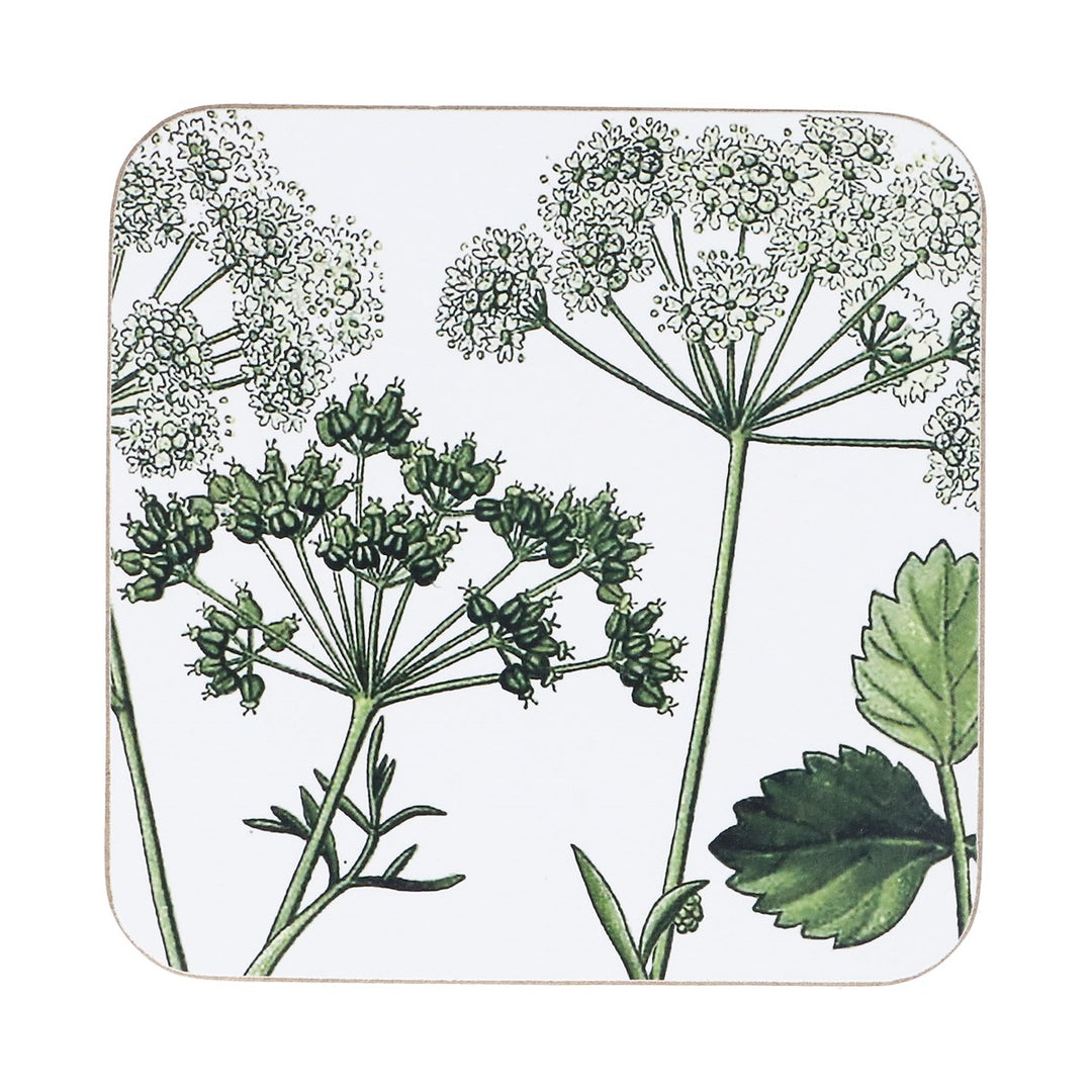 Cork Base Coaster - Spring Hedgerow, Pack/4