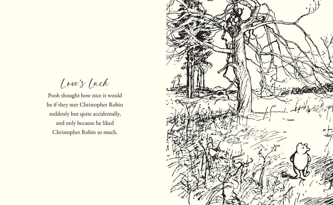 Winnie The Pooh &