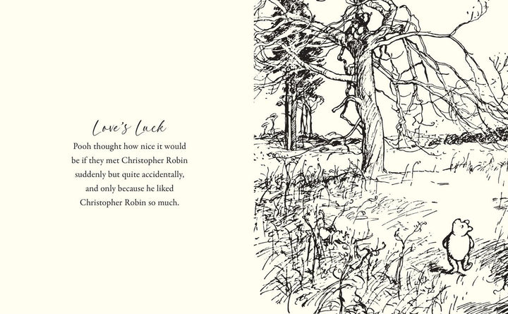 Winnie The Pooh &