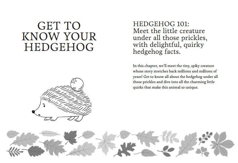 I Heart Hedgehogs Book