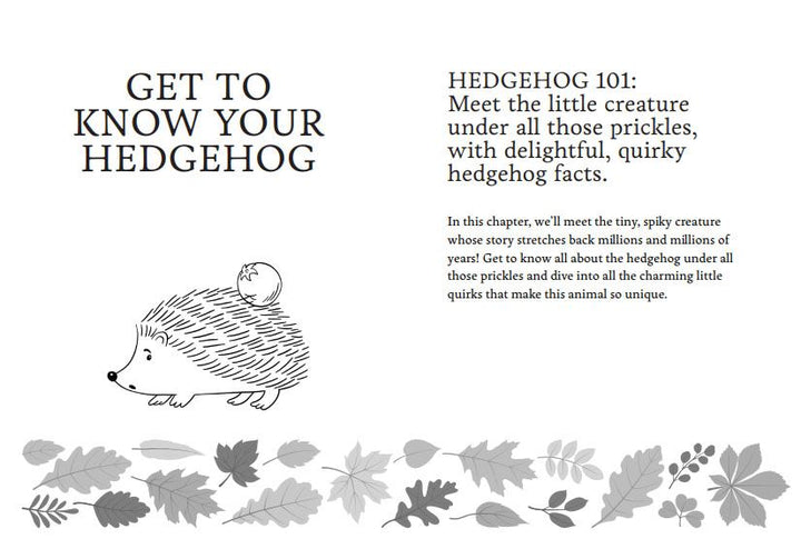 I Heart Hedgehogs Book
