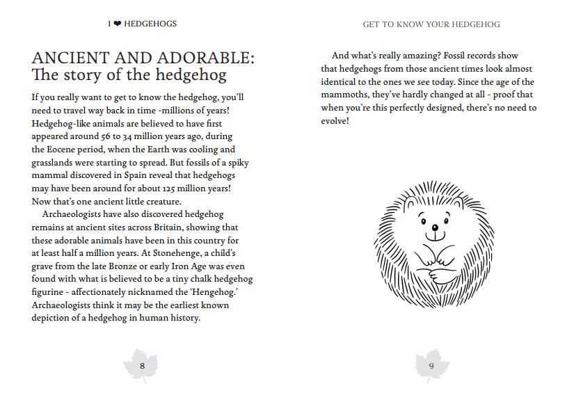 I Heart Hedgehogs Book