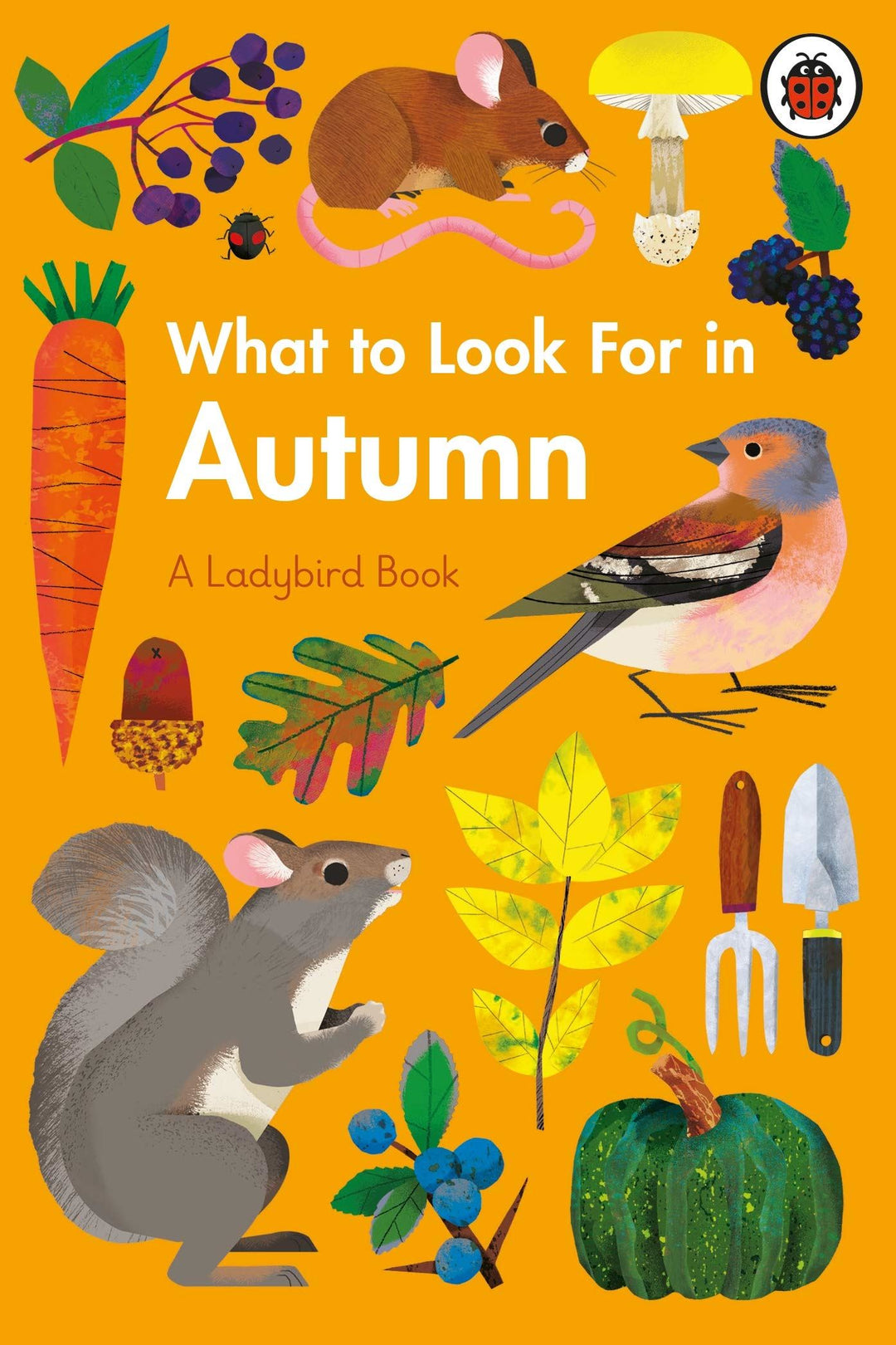 Book cover for "What to Look for in Autumn" by Ladybird, published by Bookspeed, featuring autumn-themed illustrations.
