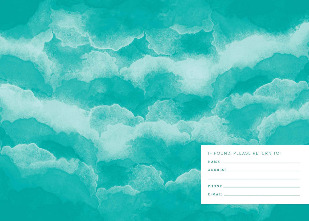 One Sketch a Day: A Visual Journal