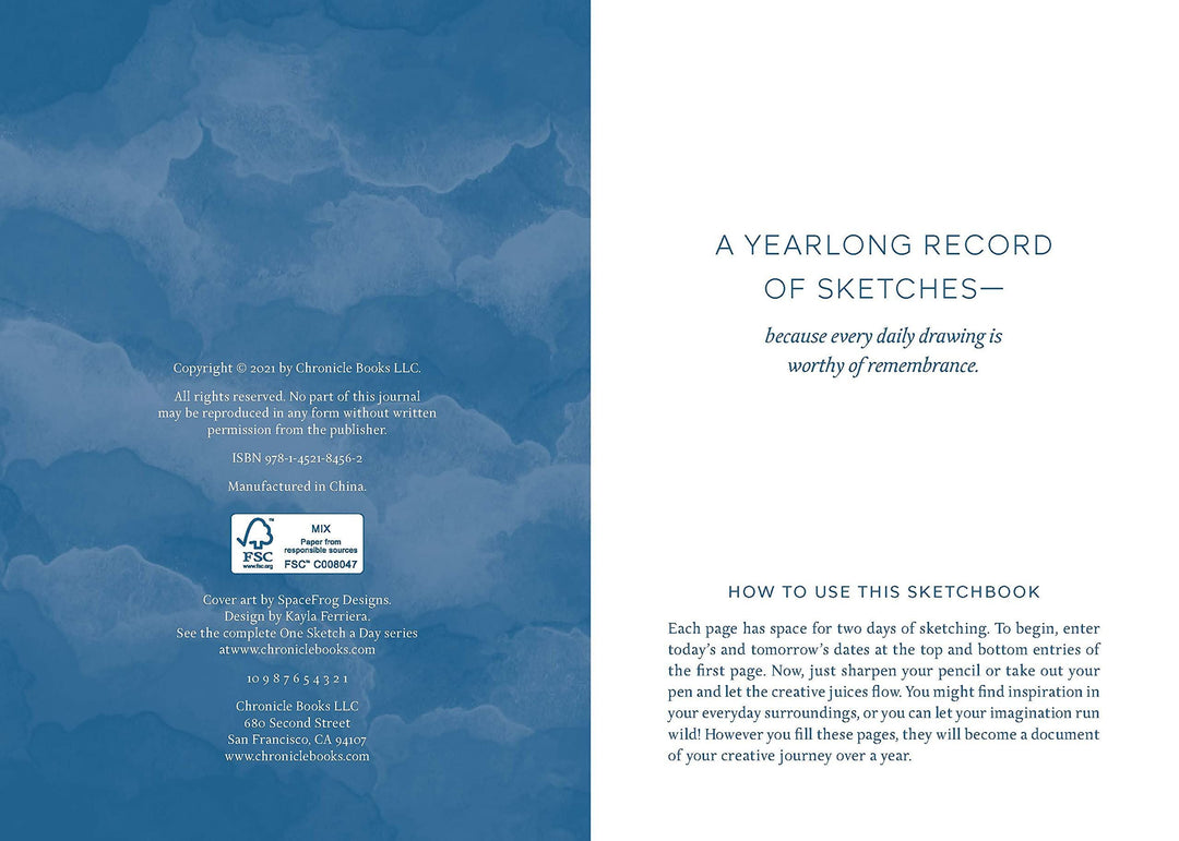 One Sketch a Day: A Visual Journal