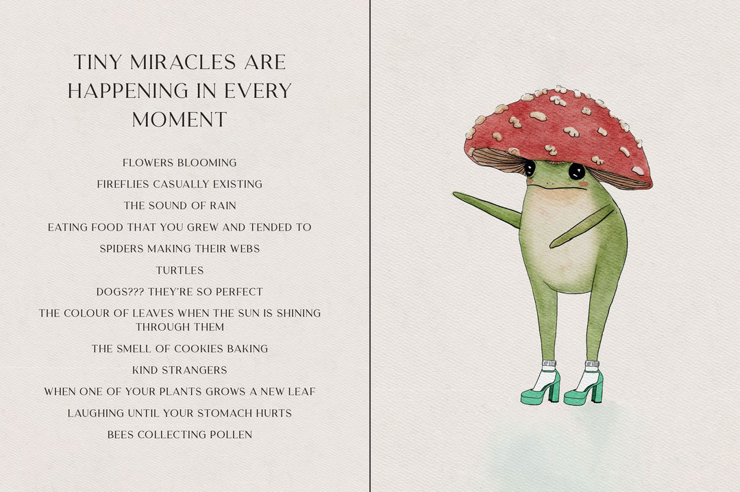 The Little Frogs guide to Self care Book