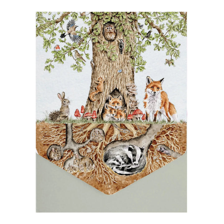 Nature Notecard Pack Wild Woodland