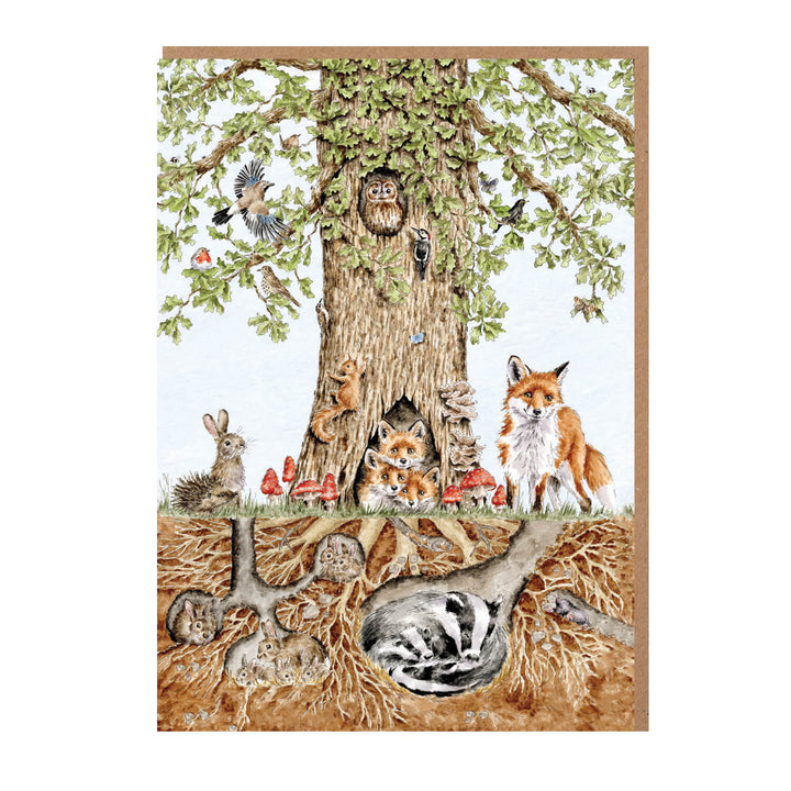 Nature Notecard Pack Wild Woodland