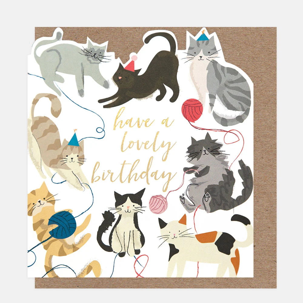 Cats With Wool Lovely Birthday Card