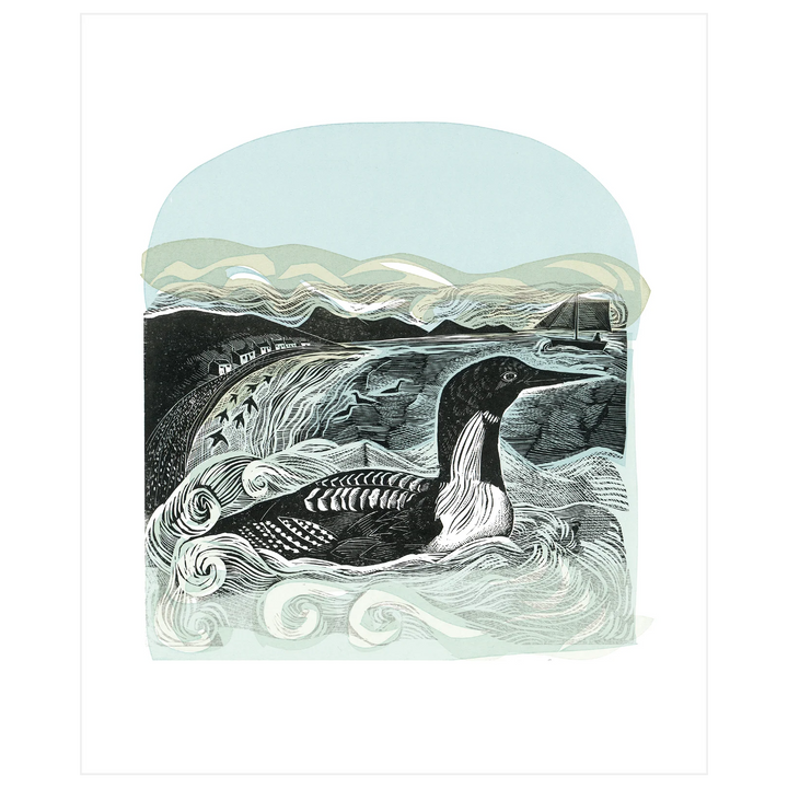Black-Throated Diver at St Kilda Art Card