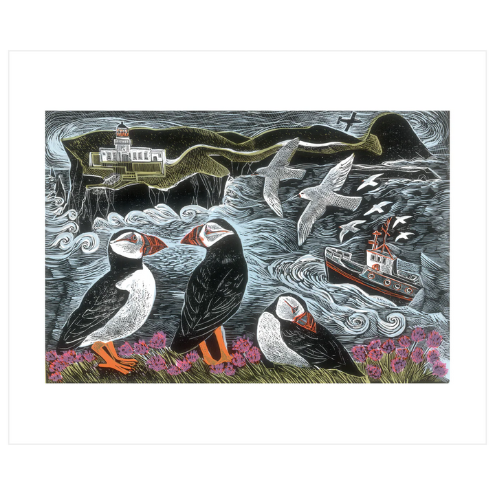 Fair Isle Puffins Card