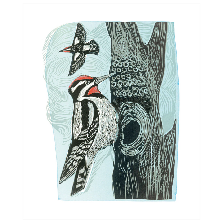 Lesser Spotted Woodpecker Card