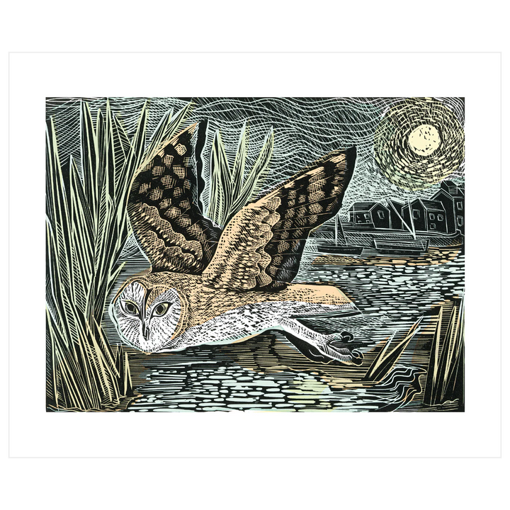 Marsh Owl Art Card