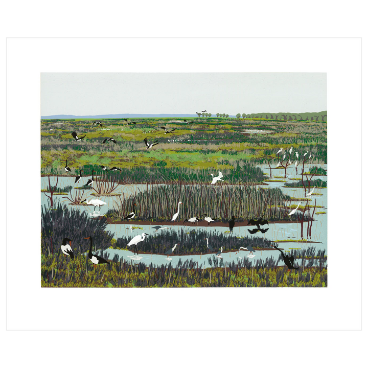 Fogg Dam Card
