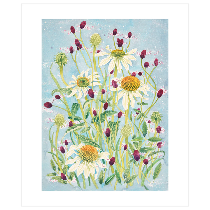 Echinacea And Sanguisorba Art Card