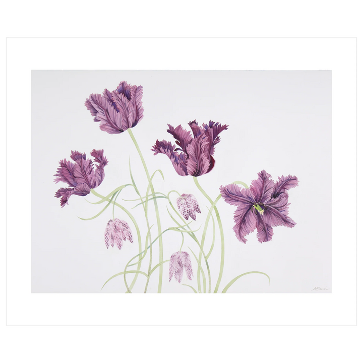 Parrot Tulips &amp; Fritillaries Art Card