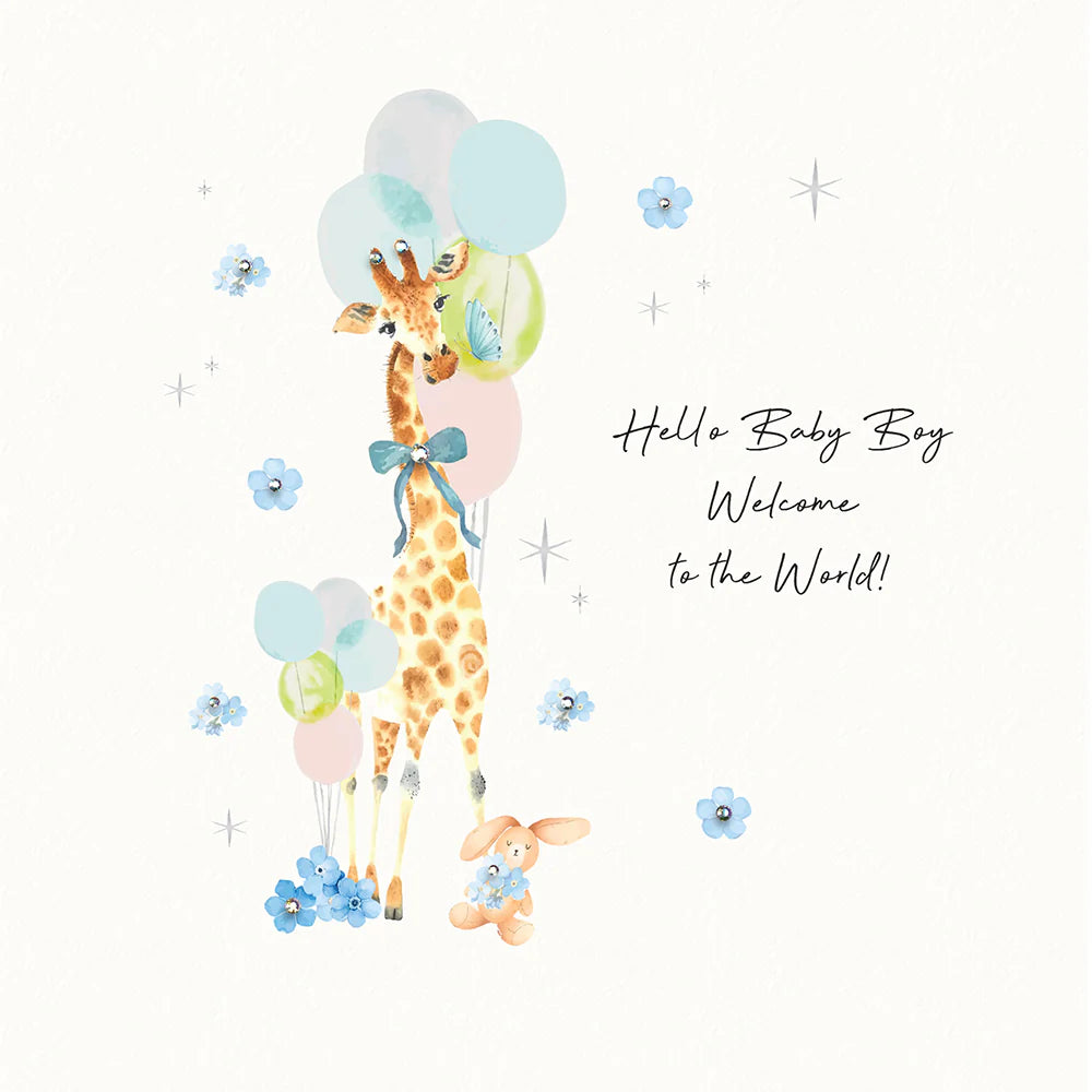 Hello Baby Boy Welcome to the World Card