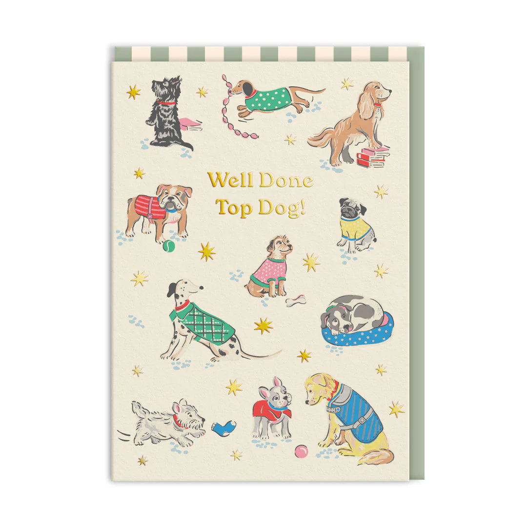 Cath Kidston Top Dog Congratulations card featuring a playful dog design from Cornucopia Home and Gift, suitable for celebrating achievements.