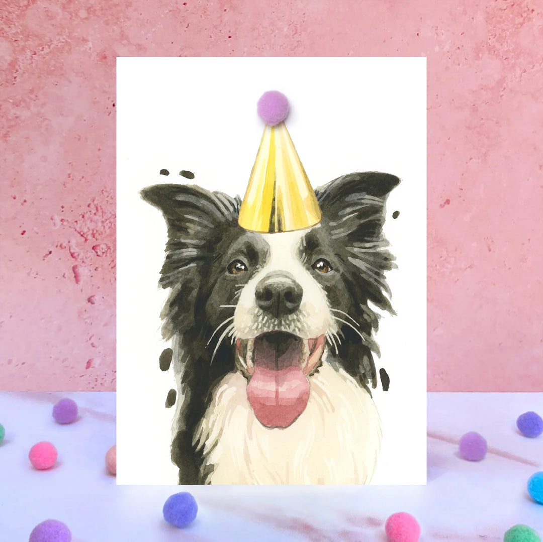 Border Collie Pompom birthday card by Robert James Hull featuring a cute pompom Border Collie illustration on a festive card.