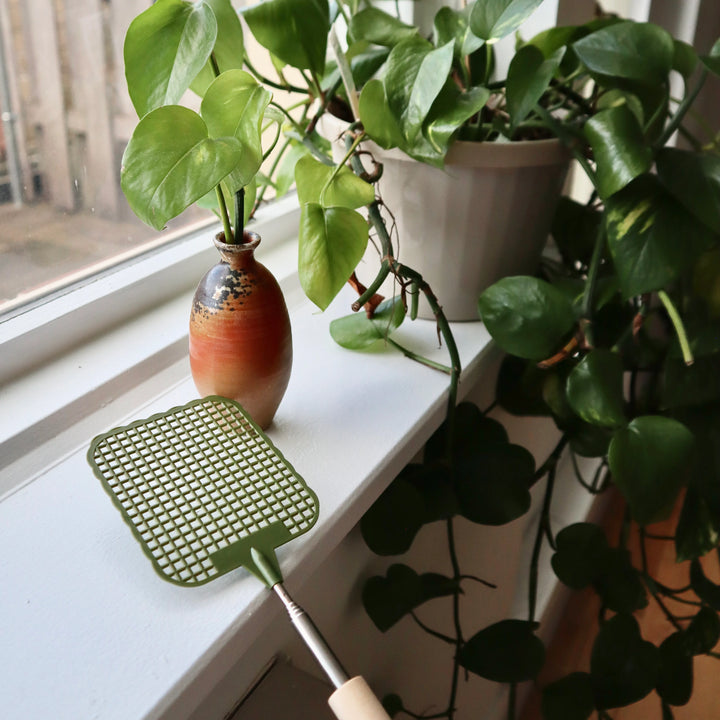 Kikkerland telescopic fly swatter with extendable handle, black plastic body, designed for catching insects easily.