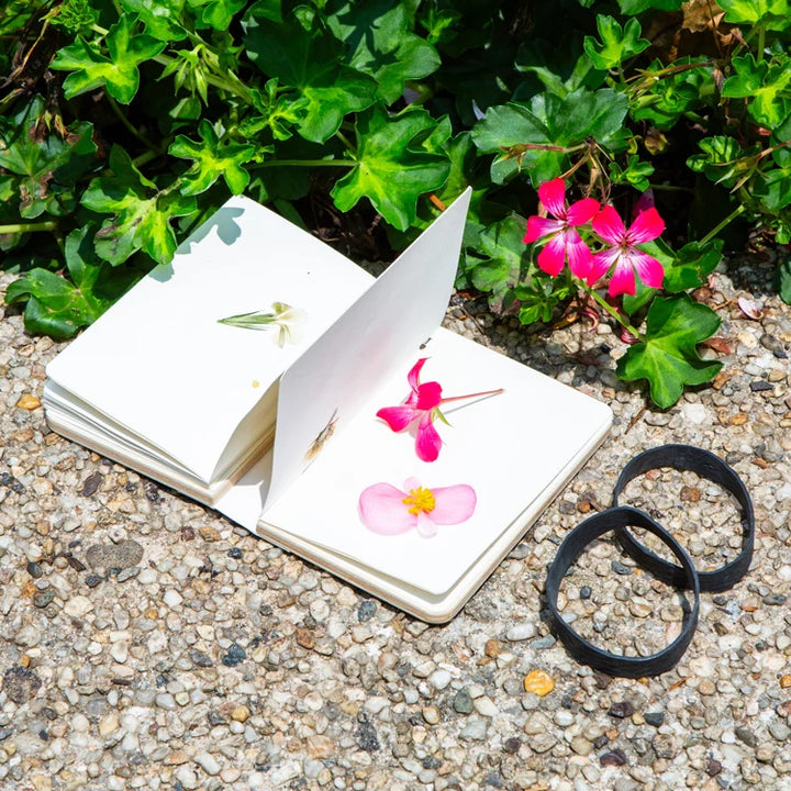 Field Flower Press - Portable Accordion Style