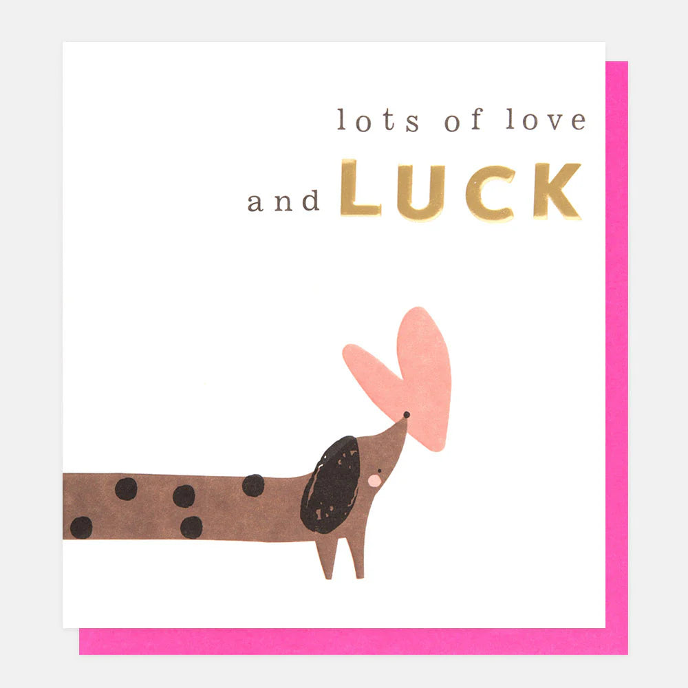 Caroline Gardner Lots of Love &amp; Luck Sausage Dog ceramic figurine with colorful heart and star design on a white background.
