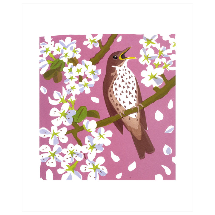 Thrush by Carry Akroyd Card