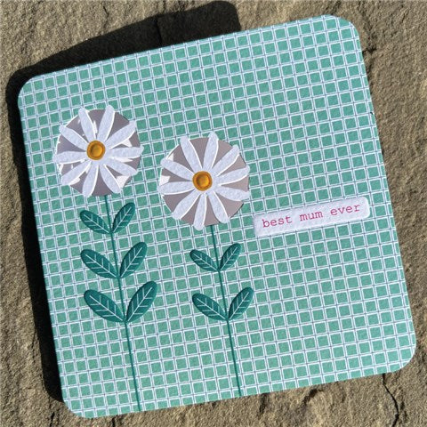 Daisy &
