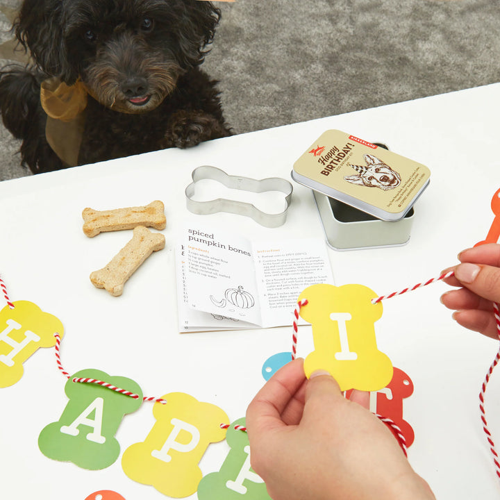 Dog Birthday Kit by Kikkerland featuring colorful decorations and accessories for celebrating a dog&