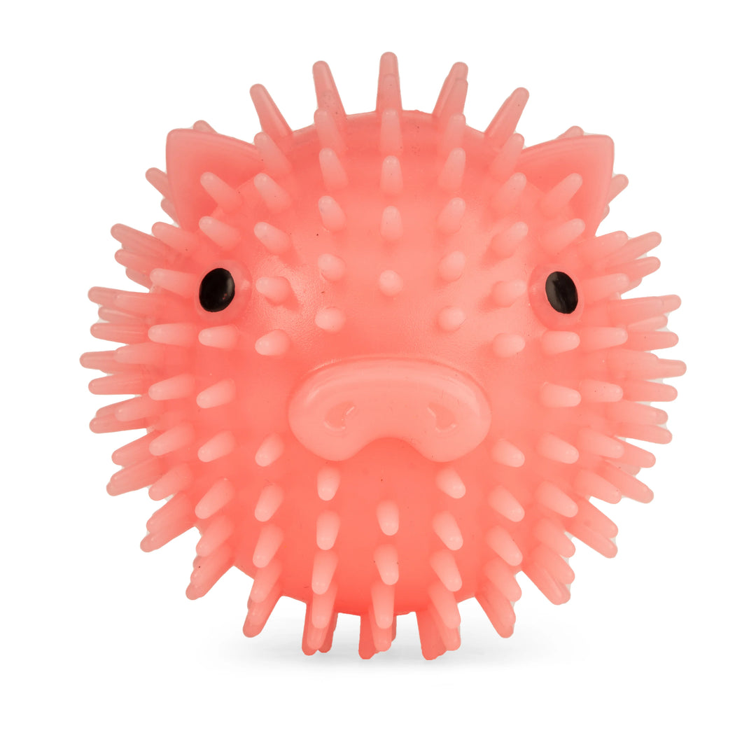 Kikkerland Piggy Dog Ball toy for dogs, featuring a pig design, made by Cornucopia Home and Gift.