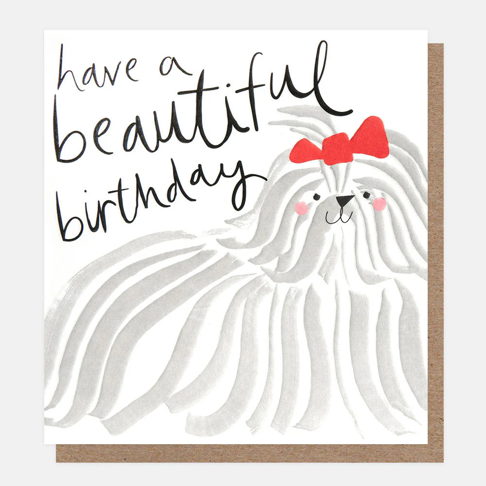 Long-haired dog with a bow, celebrating a birthday, illustrated by Caroline Gardner for Cornucopia Home and Gift.