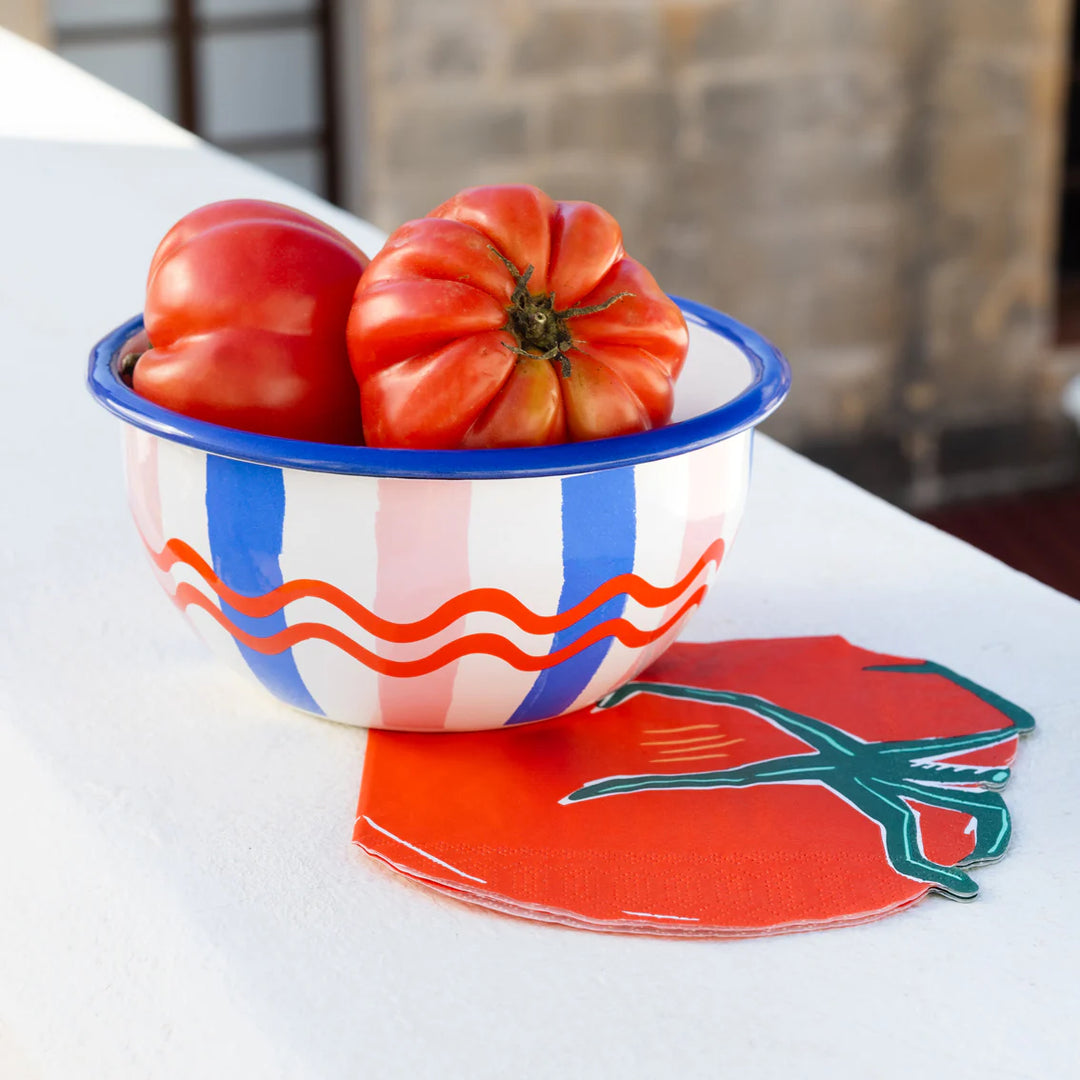 Cornucopia Home and Gift Bon Appetit stripe enamel bowl with colorful striped design on a white background